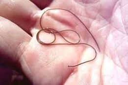 Parasite in your palm